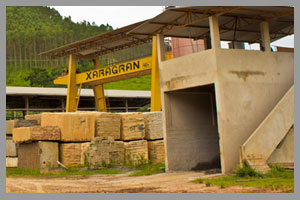 Responsabilidade Ambiental